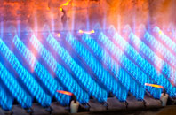Sontley gas fired boilers
